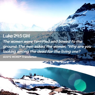 Picture 02 - Luke 24:5 GW - The women were terrified and bowed to the ground. - Bible Verse Picture