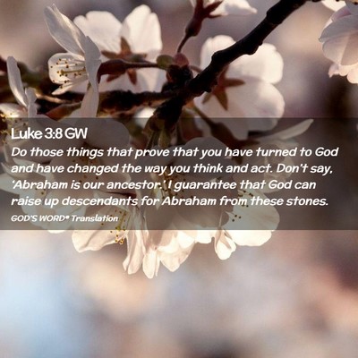 Picture 02 - Luke 3:8 GW - Do those things that prove that you have turned - Bible Verse Picture