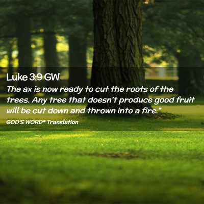 Picture 02 - Luke 3:9 GW - The ax is now ready to cut the roots of the - Bible Verse Picture