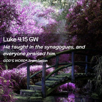 Picture 02 - Luke 4:15 GW - He taught in the synagogues, and everyone praised - Bible Verse Picture