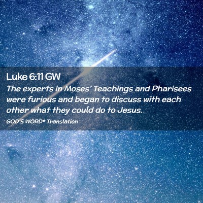 Picture 02 - Luke 6:11 GW - The experts in Moses’ Teachings and Pharisees - Bible Verse Picture