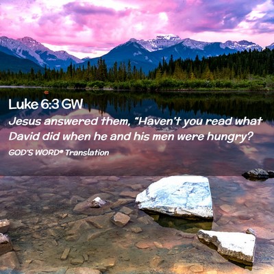 Picture 02 - Luke 6:3 GW - Jesus answered them, “Haven’t you read what - Bible Verse Picture