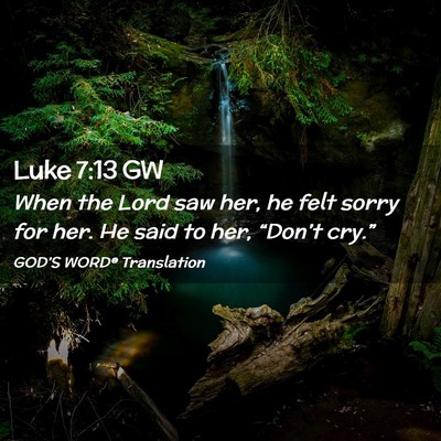 Picture 02 - Luke 7:13 GW - When the Lord saw her, he felt sorry for her. He - Bible Verse Picture