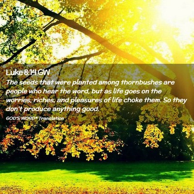 Picture 02 - Luke 8:14 GW - The seeds that were planted among thornbushes are - Bible Verse Picture