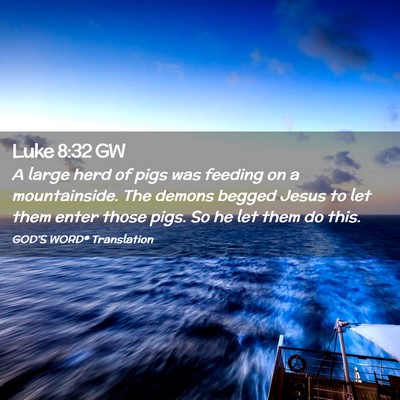 Picture 02 - Luke 8:32 GW - A large herd of pigs was feeding on a - Bible Verse Picture