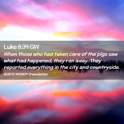 Picture 02 - Luke 8:34 GW - When those who had taken care of the pigs saw - Bible Verse Picture