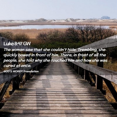 Picture 02 - Luke 8:47 GW - The woman saw that she couldn’t hide. - Bible Verse Picture