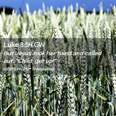 Picture 02 - Luke 8:54 GW - But Jesus took her hand and called out, “Child, - Bible Verse Picture