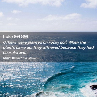Picture 02 - Luke 8:6 GW - Others were planted on rocky soil. When the - Bible Verse Picture