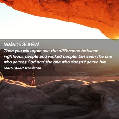 Picture 02 - Malachi 3:18 GW - Then you will again see the difference between - Bible Verse Picture