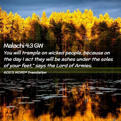Picture 02 - Malachi 4:3 GW - You will trample on wicked people, because on the - Bible Verse Picture