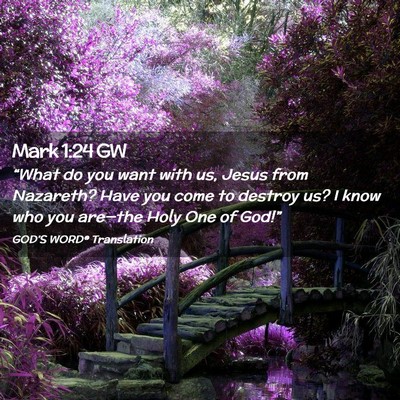 Picture 02 - Mark 1:24 GW - “What do you want with us, Jesus from Nazareth? - Bible Verse Picture