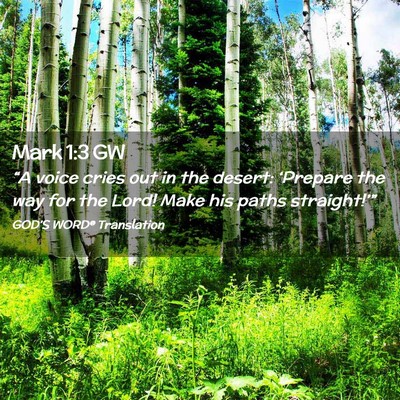 Picture 02 - Mark 1:3 GW - “A voice cries out in the desert: ‘Prepare - Bible Verse Picture