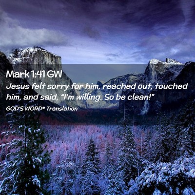Picture 02 - Mark 1:41 GW - Jesus felt sorry for him, reached out, touched - Bible Verse Picture