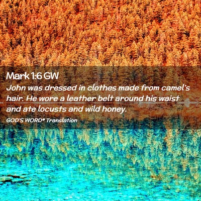 Picture 02 - Mark 1:6 GW - John was dressed in clothes made from camel’s - Bible Verse Picture