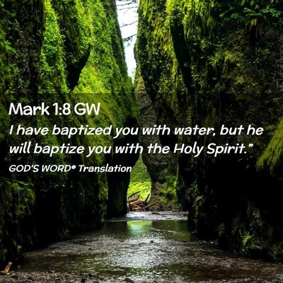 Picture 02 - Mark 1:8 GW - I have baptized you with water, but he will - Bible Verse Picture