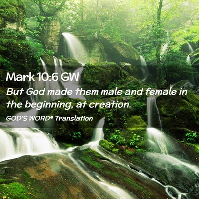 Picture 02 - Mark 10:6 GW - But God made them male and female in the - Bible Verse Picture