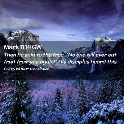 Picture 02 - Mark 11:14 GW - Then he said to the tree, “No one will ever eat - Bible Verse Picture