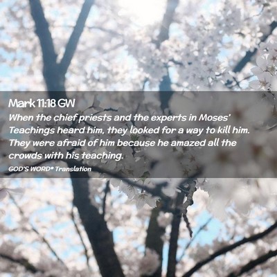 Picture 02 - Mark 11:18 GW - When the chief priests and the experts in - Bible Verse Picture