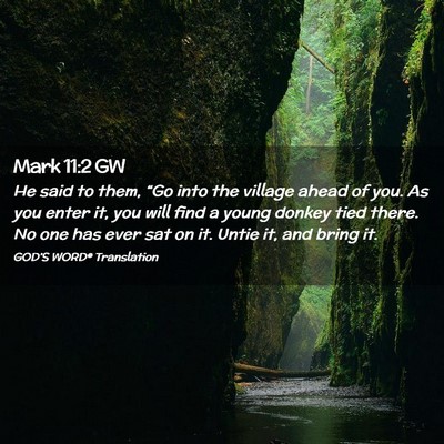 Picture 02 - Mark 11:2 GW - He said to them, “Go into the village ahead of - Bible Verse Picture