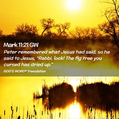 Picture 02 - Mark 11:21 GW - Peter remembered what Jesus had said, so he said - Bible Verse Picture