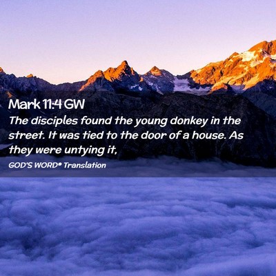 Picture 02 - Mark 11:4 GW - The disciples found the young donkey in the - Bible Verse Picture