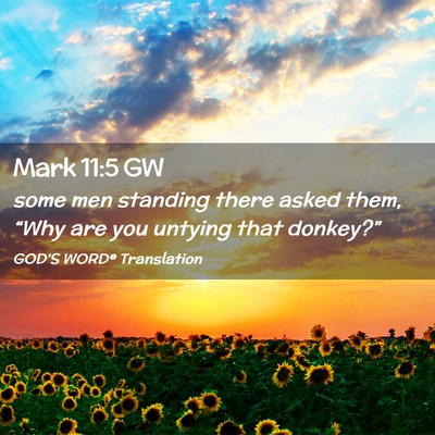 Picture 02 - Mark 11:5 GW - some men standing there asked them, “Why are - Bible Verse Picture