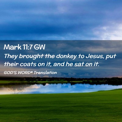 Picture 02 - Mark 11:7 GW - They brought the donkey to Jesus, put their coats - Bible Verse Picture
