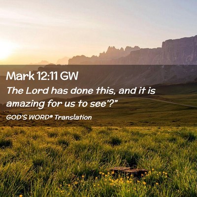 Picture 02 - Mark 12:11 GW - The Lord has done this, and it is amazing for us - Bible Verse Picture