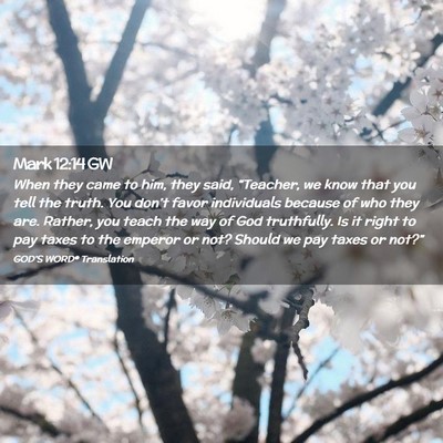 Picture 02 - Mark 12:14 GW - When they came to him, they said, “Teacher, we - Bible Verse Picture