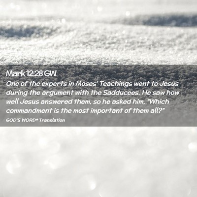 Picture 02 - Mark 12:28 GW - One of the experts in Moses’ Teachings went to - Bible Verse Picture