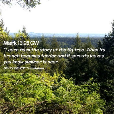 Picture 02 - Mark 13:28 GW - “Learn from the story of the fig tree. When its - Bible Verse Picture