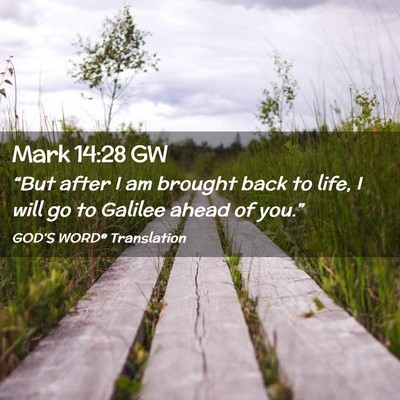 Picture 02 - Mark 14:28 GW - “But after I am brought back to life, I will go - Bible Verse Picture