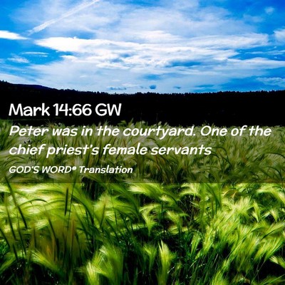 Picture 02 - Mark 14:66 GW - Peter was in the courtyard. One of the chief - Bible Verse Picture