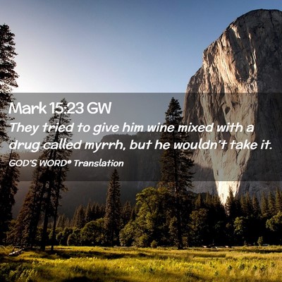 Picture 02 - Mark 15:23 GW - They tried to give him wine mixed with a drug - Bible Verse Picture