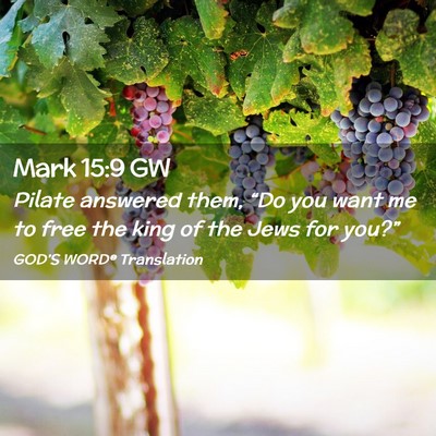 Picture 02 - Mark 15:9 GW - Pilate answered them, “Do you want me to free - Bible Verse Picture