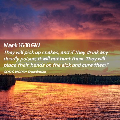 Picture 02 - Mark 16:18 GW - They will pick up snakes, and if they drink any - Bible Verse Picture
