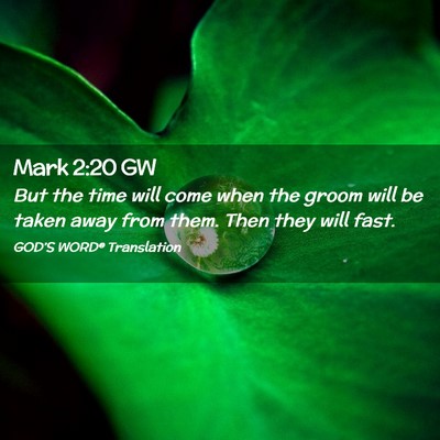 Picture 02 - Mark 2:20 GW - But the time will come when the groom will be - Bible Verse Picture
