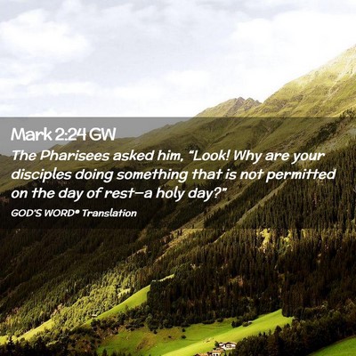 Picture 02 - Mark 2:24 GW - The Pharisees asked him, “Look! Why are your - Bible Verse Picture