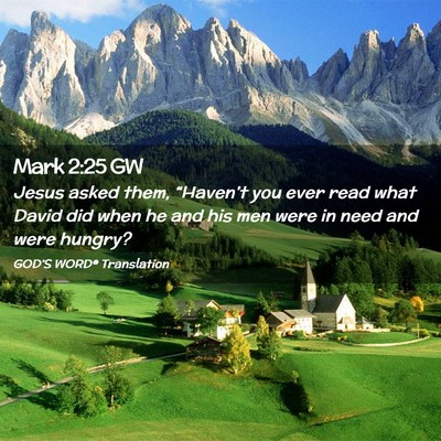 Picture 02 - Mark 2:25 GW - Jesus asked them, “Haven’t you ever read what - Bible Verse Picture