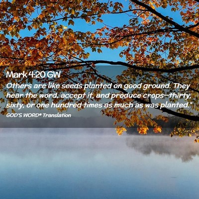 Picture 02 - Mark 4:20 GW - Others are like seeds planted on good ground. - Bible Verse Picture