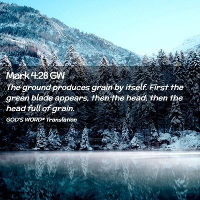 Picture 02 - Mark 4:28 GW - The ground produces grain by itself. First the - Bible Verse Picture
