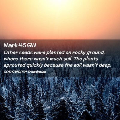 Picture 02 - Mark 4:5 GW - Other seeds were planted on rocky ground, where - Bible Verse Picture