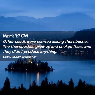 Picture 02 - Mark 4:7 GW - Other seeds were planted among thornbushes. The - Bible Verse Picture