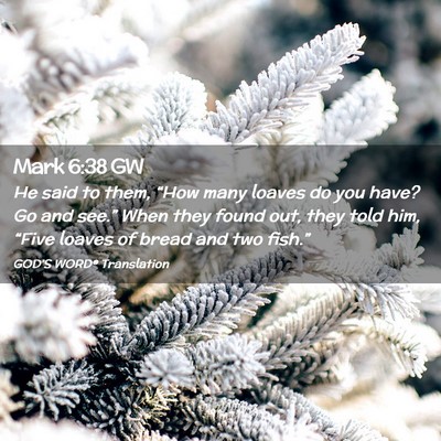 Picture 02 - Mark 6:38 GW - He said to them, “How many loaves do you have? - Bible Verse Picture