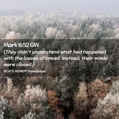 Picture 02 - Mark 6:52 GW - (They didn’t understand what had happened with - Bible Verse Picture