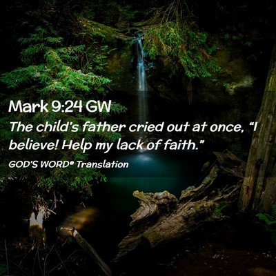 Picture 02 - Mark 9:24 GW - The child’s father cried out at once, “I - Bible Verse Picture