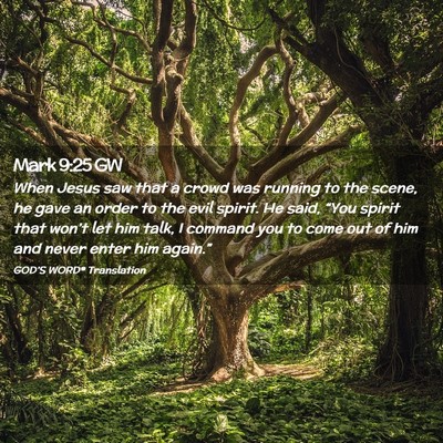 Picture 02 - Mark 9:25 GW - When Jesus saw that a crowd was running to the - Bible Verse Picture