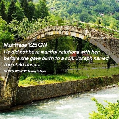 Picture 02 - Matthew 1:25 GW - He did not have marital relations with her before - Bible Verse Picture