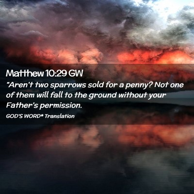 Picture 02 - Matthew 10:29 GW - “Aren’t two sparrows sold for a penny? Not - Bible Verse Picture